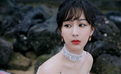 杨紫小说爆料视频合集,揭秘幕后故事与精彩片段  第1张