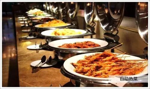 飞哥爆料美食视频大全播放,美食视频大全播放量背后的秘密 第3张 飞哥爆料美食视频大全播放,美食视频大全播放量背后的秘密 第3张