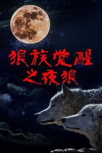 狼族在线观看,揭秘神秘狼族世界的惊险旅程  第3张